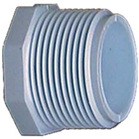 Genova 2 in. PVC Sch. 40 Threaded Plugs 31820